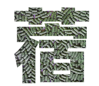 四叶草的奇迹 揭秘广大科技的创新之路